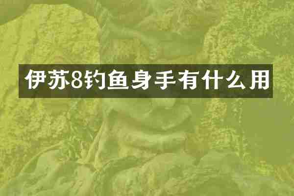 伊苏8钓鱼身手有什么用