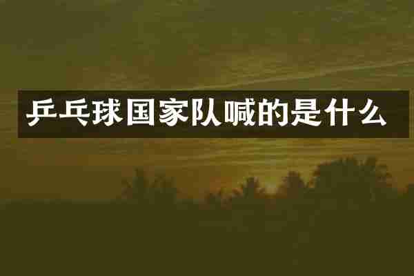 乒乓球国家队喊的是什么