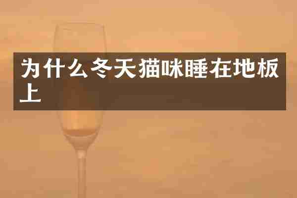 为什么冬天猫咪睡在地板上