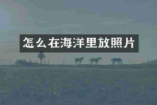 怎么在海洋里放照片