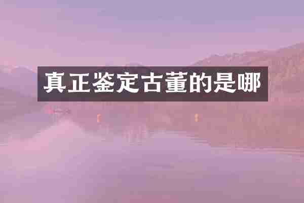 真正鉴定古董的是哪