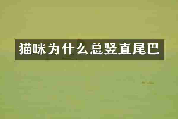 猫咪为什么总竖直尾巴