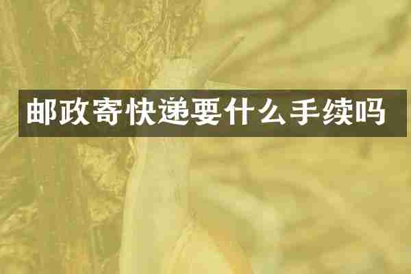 邮政寄快递要什么手续吗