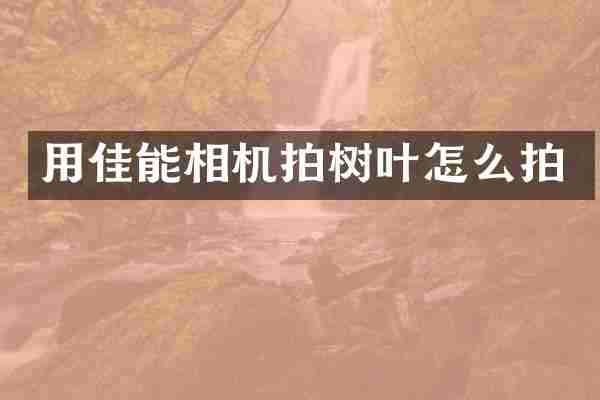 用佳能相机拍树叶怎么拍