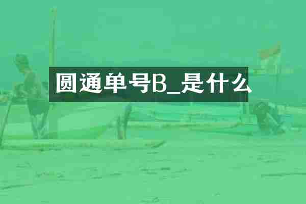 圆通单号B_是什么