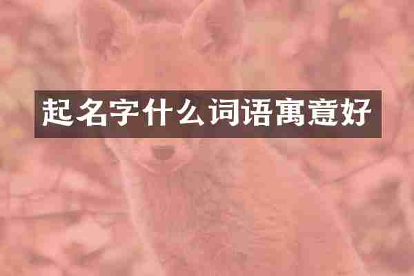 起名字什么词语寓意好