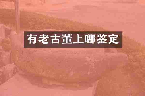 有老古董上哪鉴定