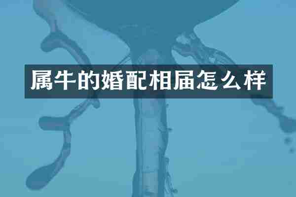 属牛的婚配相届怎么样