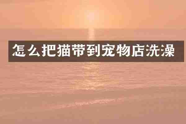 怎么把猫带到宠物店洗澡