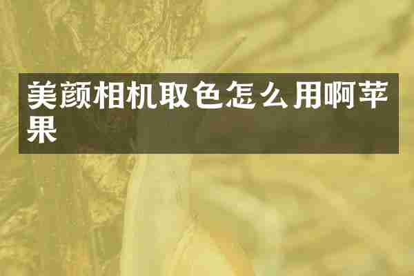 美颜相机取色怎么用啊苹果