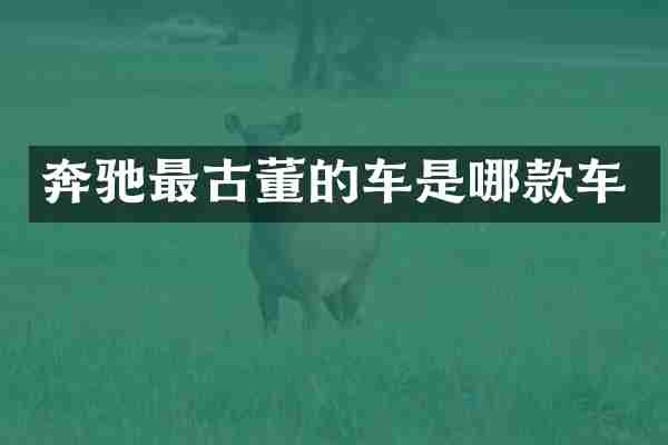 奔驰最古董的车是哪款车