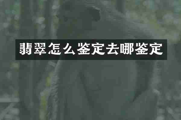 翡翠怎么鉴定去哪鉴定