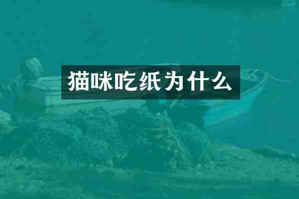 猫咪吃纸为什么