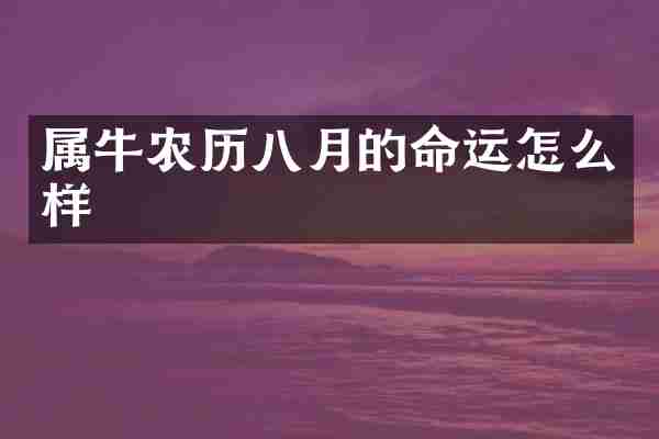 属牛农历八月的命运怎么样