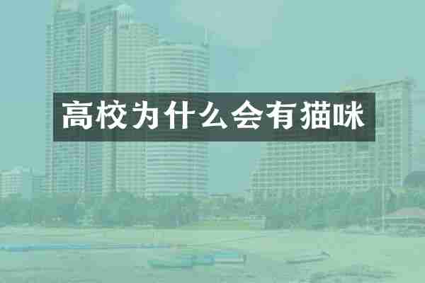 高校为什么会有猫咪