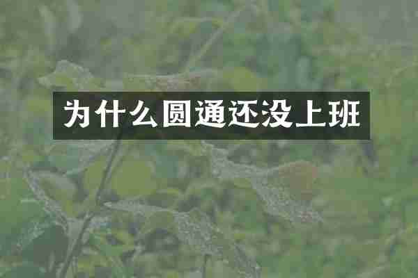 为什么圆通还没上班