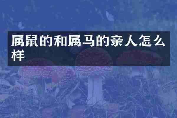 属鼠的和属马的亲人怎么样