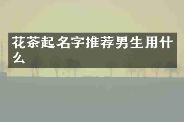 花茶起名字推荐男生用什么