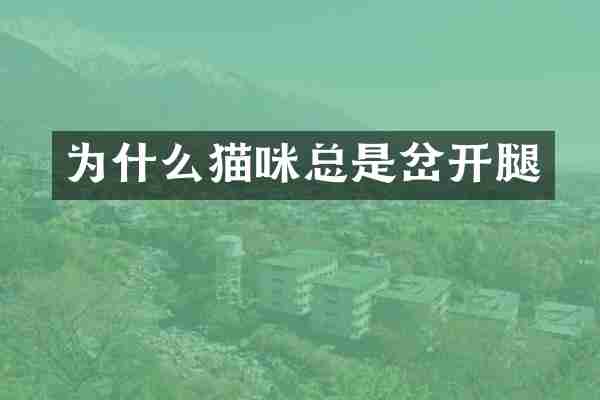 为什么猫咪总是岔开腿