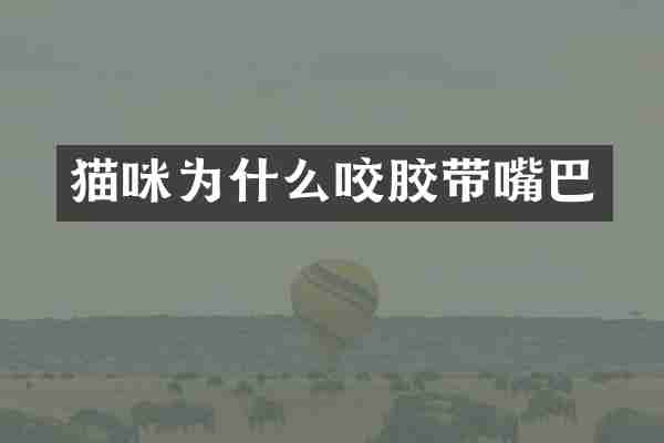 猫咪为什么咬胶带嘴巴