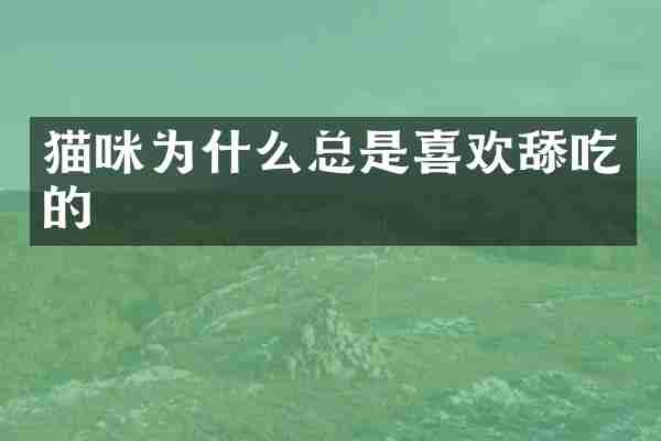 猫咪为什么总是喜欢舔吃的