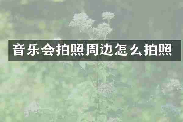 音乐会拍照周边怎么拍照