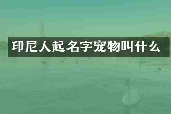 印尼人起名字宠物叫什么
