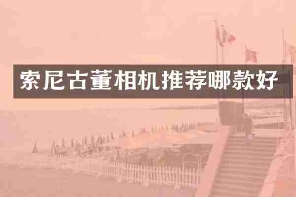 索尼古董相机推荐哪款好