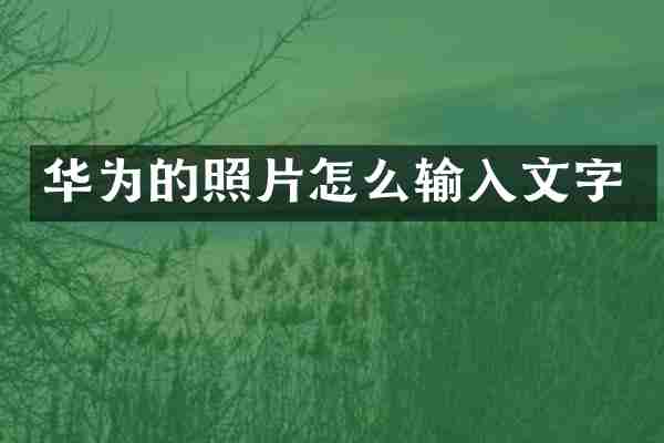 华为的照片怎么输入文字