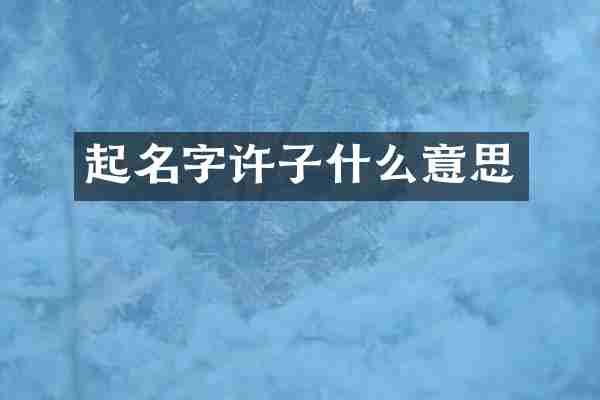 起名字许子什么意思