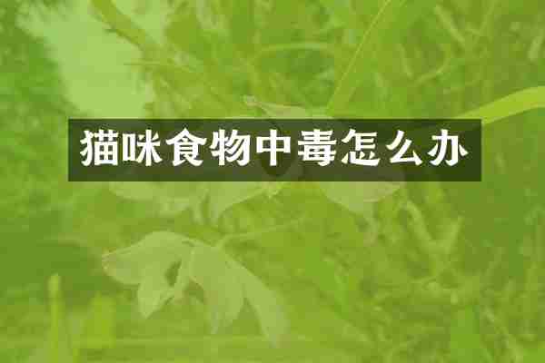 猫咪食物中毒怎么办