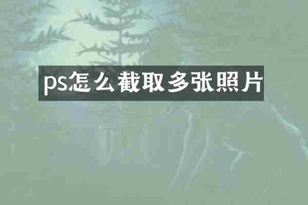 ps怎么截取多张照片