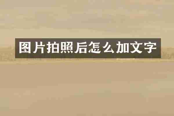 图片拍照后怎么加文字