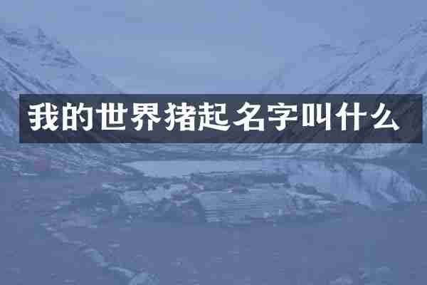 我的世界猪起名字叫什么