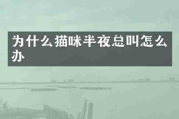 为什么猫咪半夜总叫怎么办