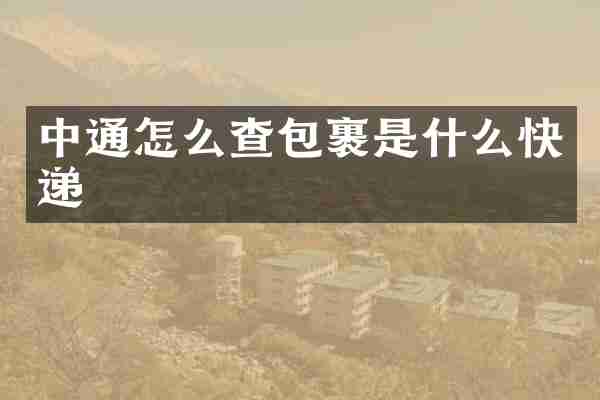 中通怎么查包裹是什么快递