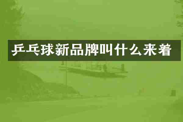 乒乓球新品牌叫什么来着