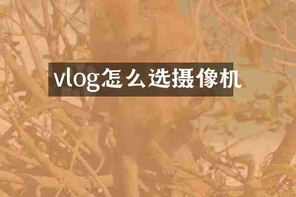 vlog怎么选摄像机