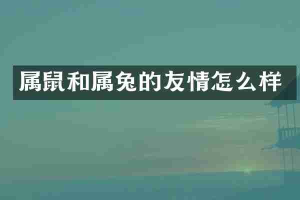 属鼠和属兔的友情怎么样