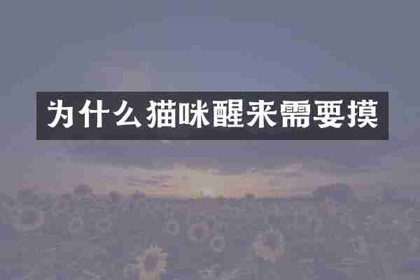 为什么猫咪醒来需要摸