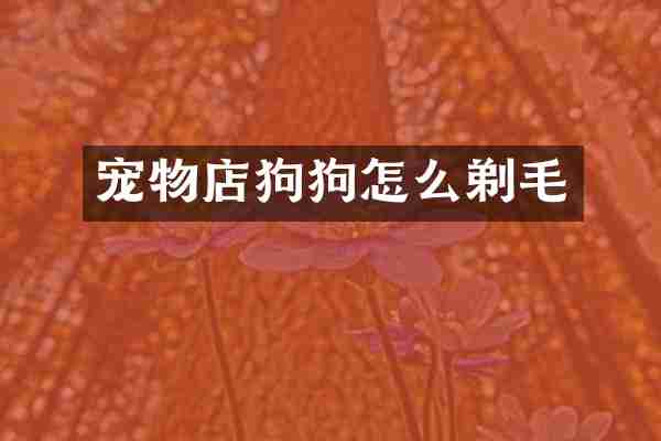 宠物店狗狗怎么剃毛