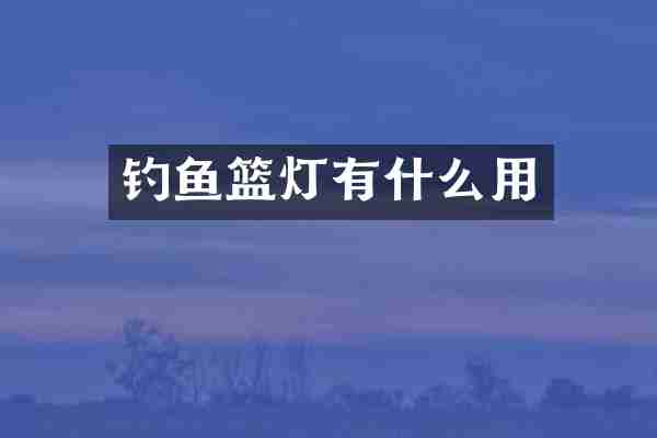 钓鱼篮灯有什么用