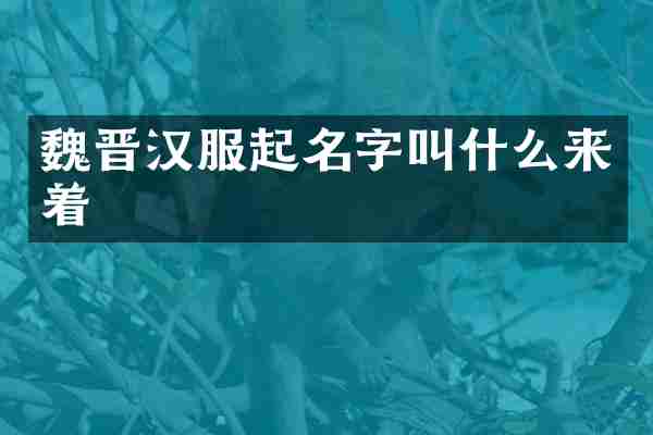 魏晋汉服起名字叫什么来着