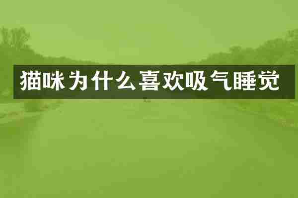 猫咪为什么喜欢吸气睡觉