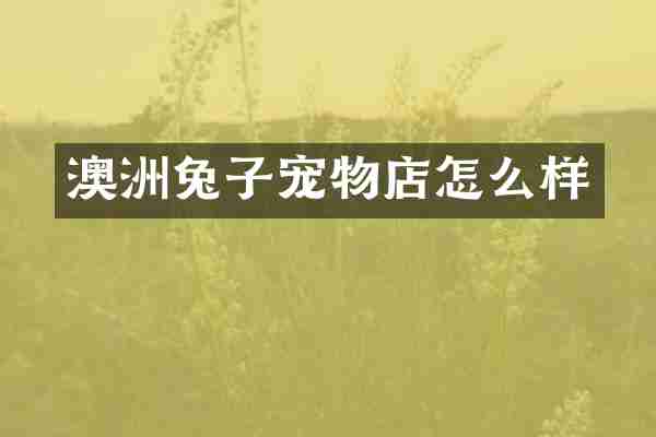澳洲兔子宠物店怎么样
