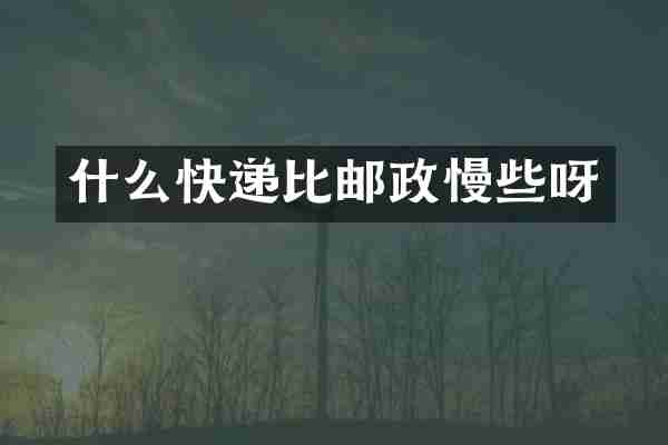 什么快递比邮政慢些呀