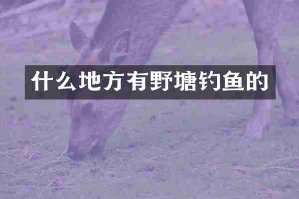 什么地方有野塘钓鱼的