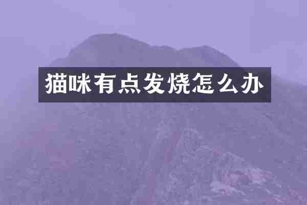 猫咪有点发烧怎么办