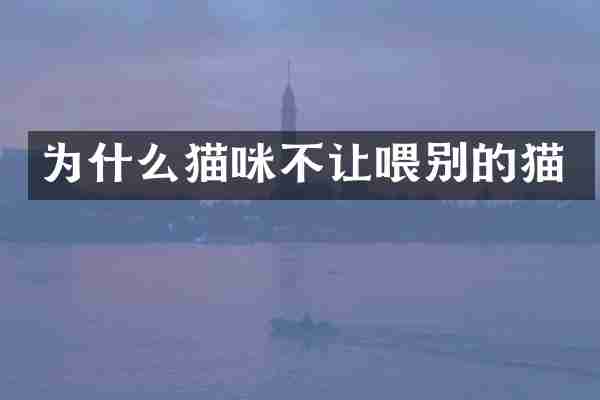 为什么猫咪不让喂别的猫