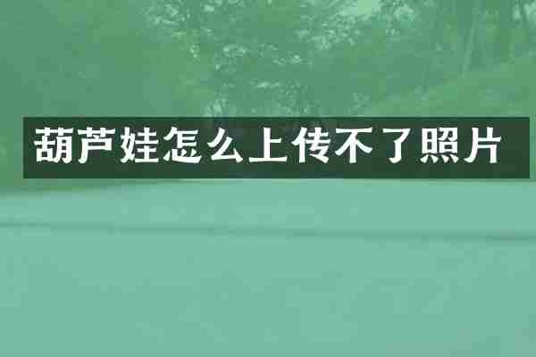 葫芦娃怎么上传不了照片